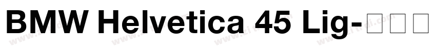 BMW Helvetica 45 Lig字体转换